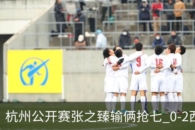 杭州公开赛张之臻输俩抢七 0-2西里奇收获亚军